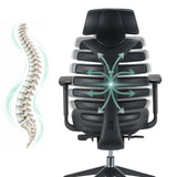 Respaldo de la silla de oficina profesional ERGO LINE II PRO con representación esquemática de la columna vertebral de hjh OFFICE