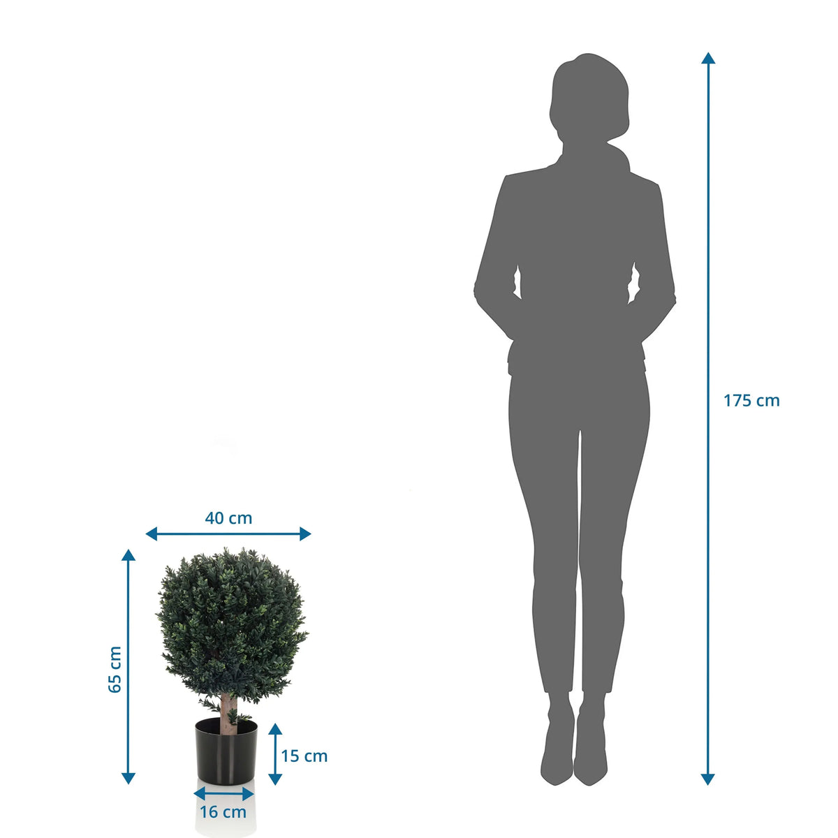 Vista de dimensiones de la Planta artificial BUXUS con una altura de 65 cm en comparación con una persona de hjh OFFICE