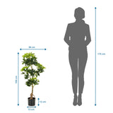 Vista de dimensiones de la Planta artificial SCHEFFLERA con una altura de 100 cm y anchura de 38 cm de hjh OFFICE
