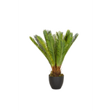Planta artificial verde CYCAS en una maceta negra de hjh OFFICE – vista de 360° (vista frontal 0°)
