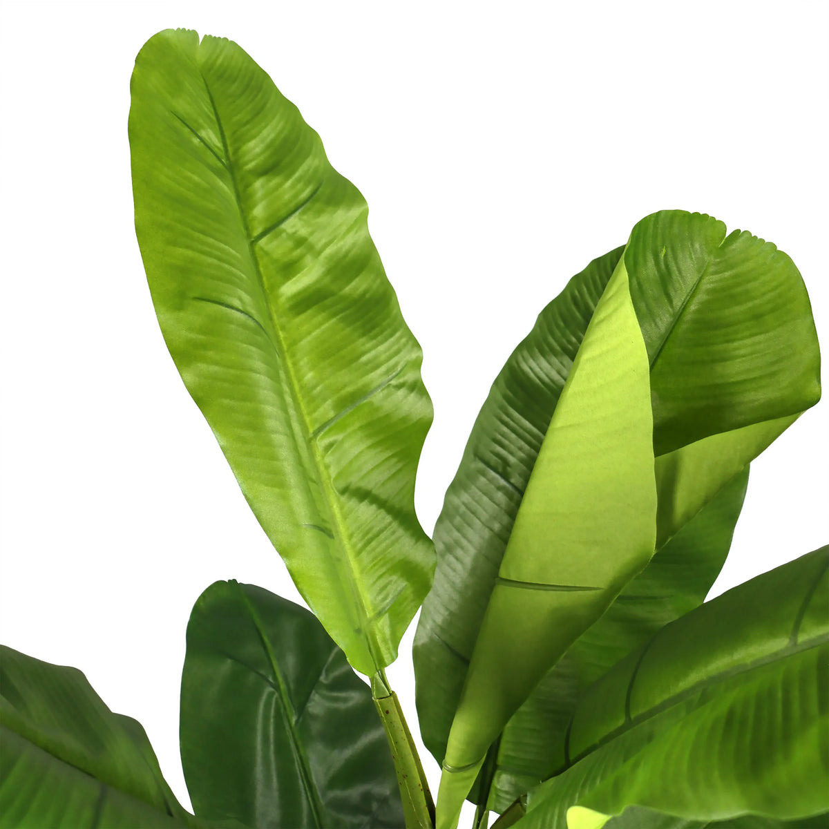 Hojas verdes de la Planta artificial BANANE I de hjh OFFICE