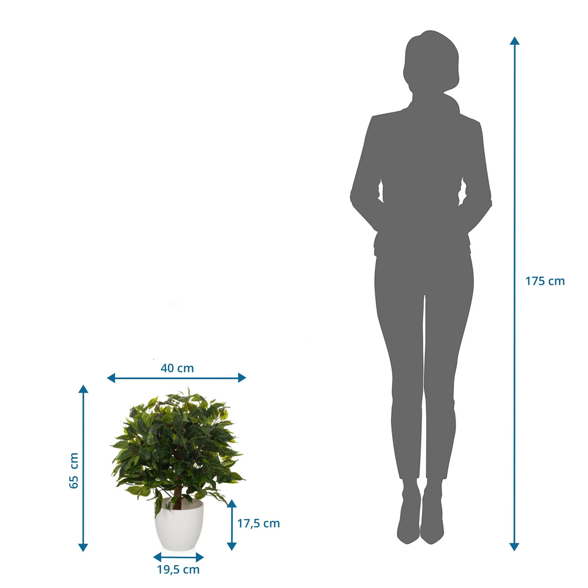 Plano dimensional de la Planta artificial FICUS II con una altura de 65 cm y anchura de 40 cm de hjh OFFICE