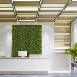 Estera vegetal verde MORE GREEN I como vegetación vertical en una pared de hormigón clara en una zona de recepción de hjh OFFICE