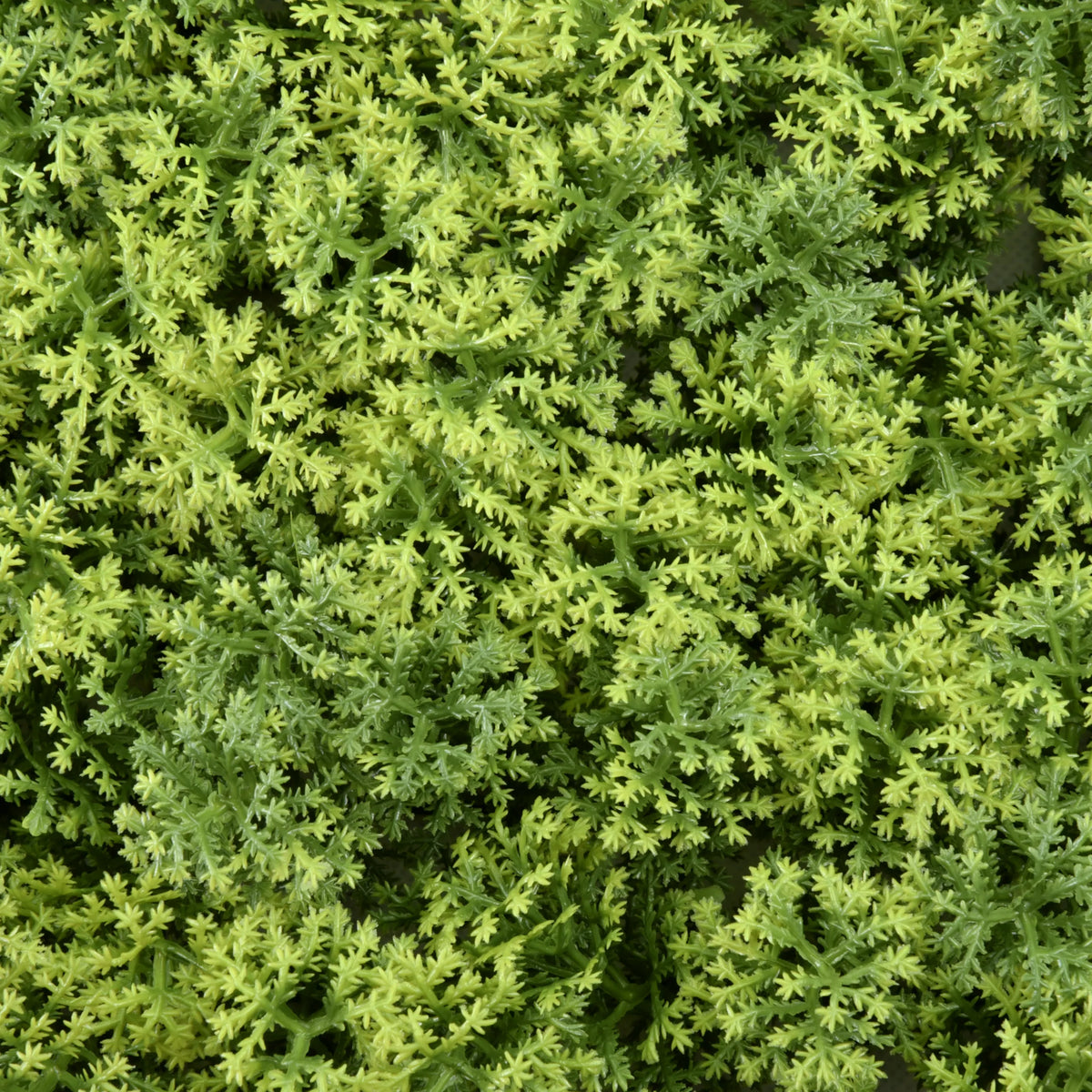 Textura verde de la Estera vegetal LEAFLUXE 3 de hjh LIVING