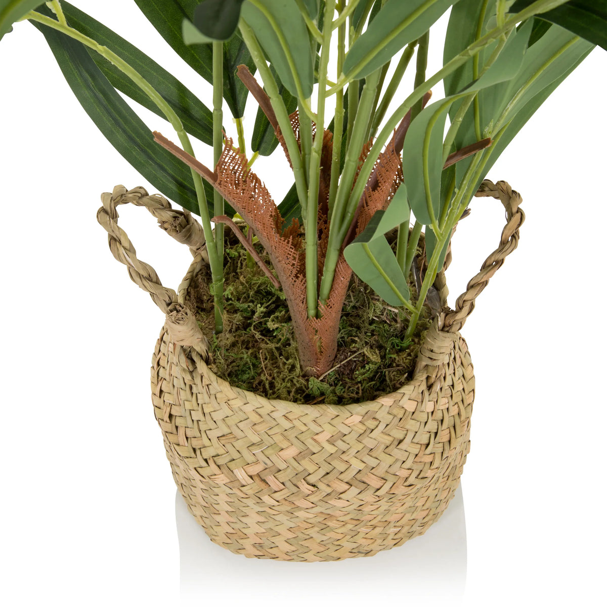 Cesta tejida con hojas verdes de la Planta artificial CHAMAEDOREA de hjh OFFICE