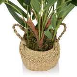 Cesta tejida con hojas verdes de la Planta artificial CHAMAEDOREA de hjh OFFICE