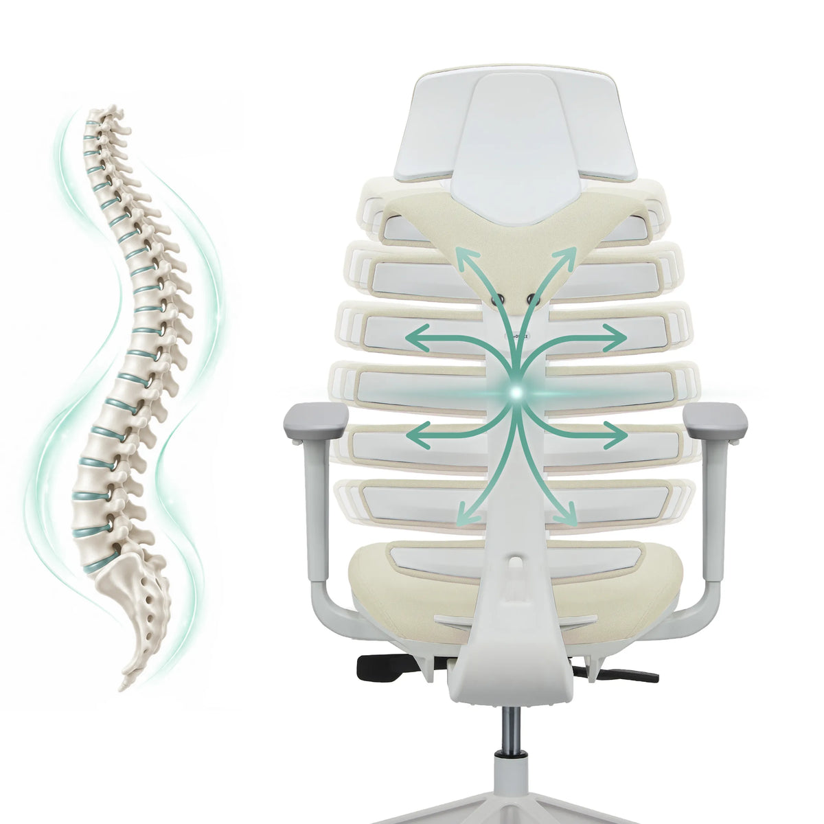 Respaldo de la silla de oficina profesional ERGO LINE W con una representación esquemática de la columna vertebral de hjh OFFICE