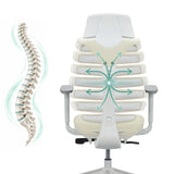 Respaldo de la silla de oficina profesional ERGO LINE W con una representación esquemática de la columna vertebral de hjh OFFICE