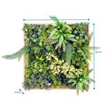 Dibujo dimensional de la Estera vegetal LEAFLUXE WALL 1 con 50 × 50 cm y 16 cm de profundidad de hjh LIVING