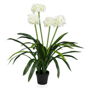 Planta artificial AGAPANTHUS con flores blancas, hojas verdes y maceta negra de hjh OFFICE