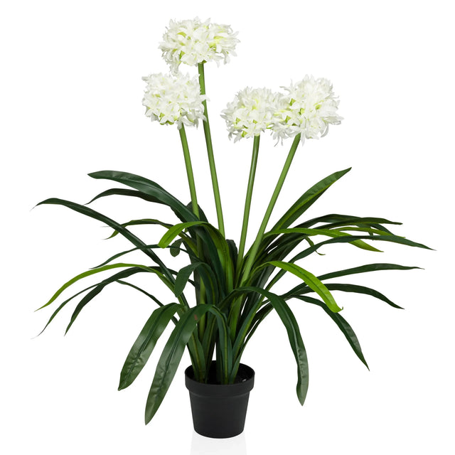 Planta artificial AGAPANTHUS con flores blancas, hojas verdes y maceta negra de hjh OFFICE