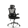 Silla de oficina profesional ARIGANO en negro con respaldo de malla y reposacabezas de hjh OFFICE