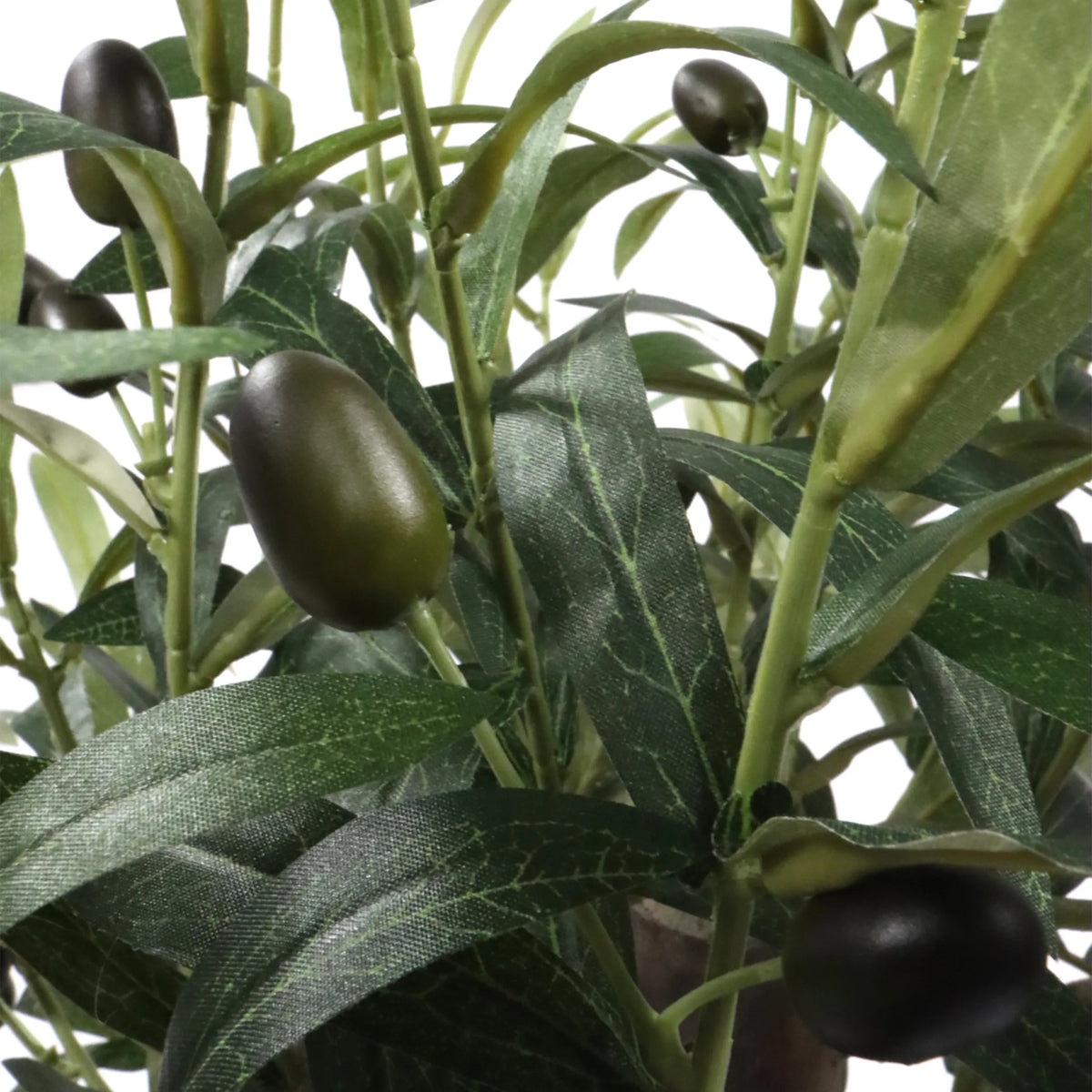 Hojas verdes y aceitunas oscuras de la Planta artificial Olive S de hjh OFFICE
