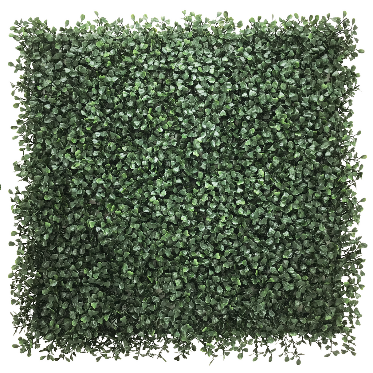 LEAFLUXE 1 - Estera vegetal 