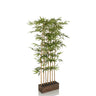 Planta artificial verde BAMBUS I en forma de bambú con una maceta marrón oscuro de hjh OFFICE