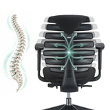 Respaldo de la silla de oficina profesional ERGO LINE II con una representación esquemática de una columna vertebral de hjh OFFICE