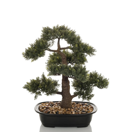 Planta artificial BONSAI en forma de bonsai verde en un cuenco negro con guijarros de hjh OFFICE