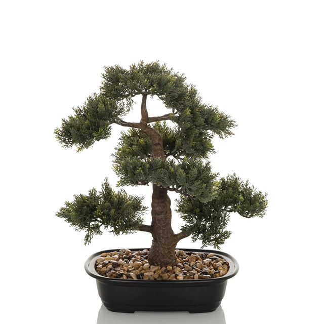 Planta artificial BONSAI en forma de bonsai verde en un cuenco negro con guijarros de hjh OFFICE