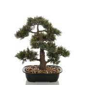 Planta artificial BONSAI en forma de bonsai verde en un cuenco negro con guijarros de hjh OFFICE