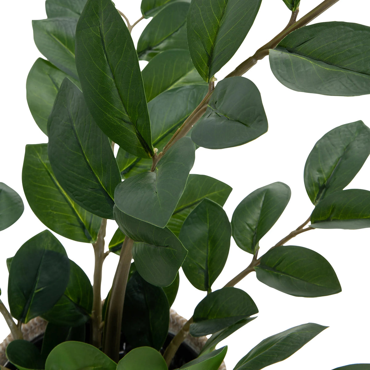 Hojas verdes de la planta artificial ZAMIE con tallos marrones en una cesta de hjh OFFICE