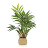 Planta artificial CHAMAEDOREA en color verde con maceta exterior tejida de material natural de hjh OFFICE