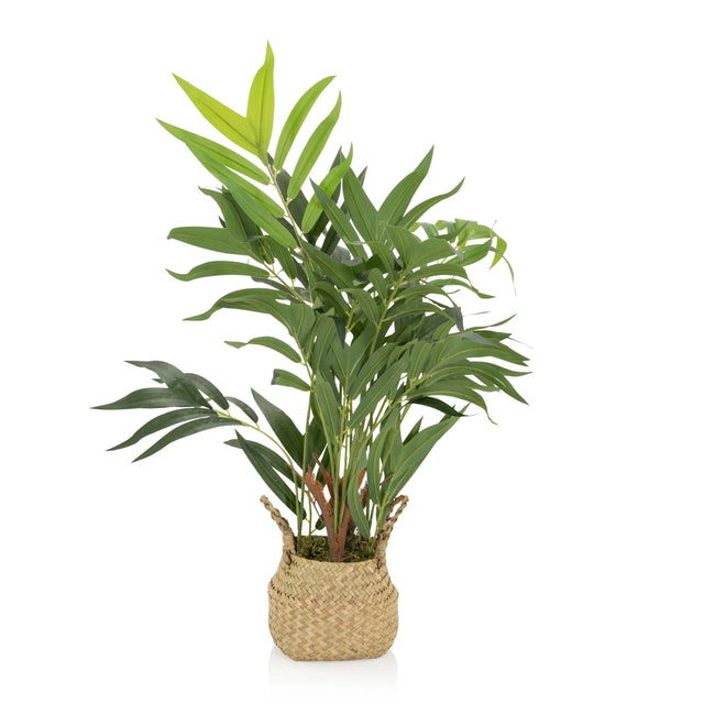 Planta artificial CHAMAEDOREA en color verde con maceta exterior tejida de material natural de hjh OFFICE