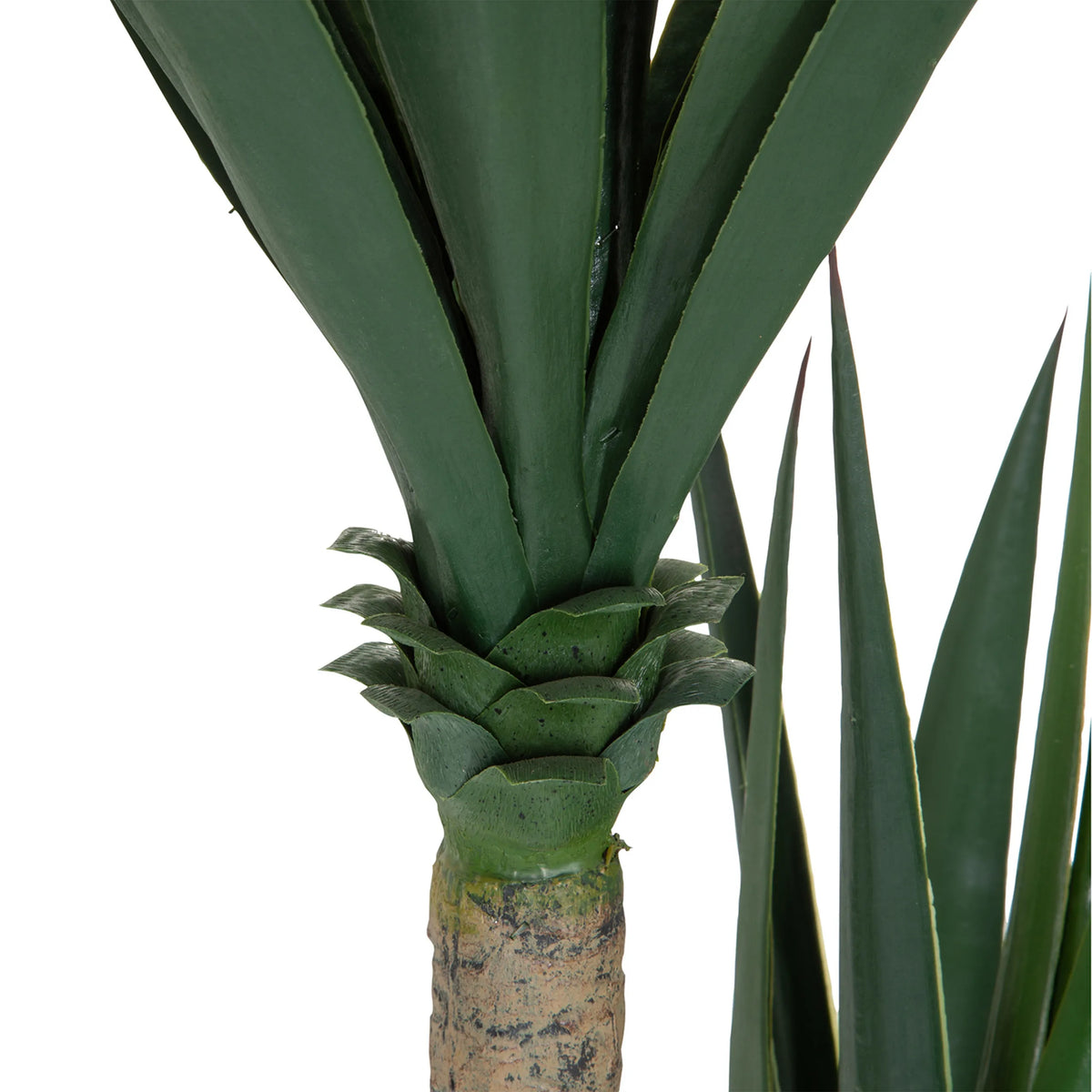 Tallo y base de las hojas de la planta artificial YUCCA en verde de hjh OFFICE
