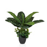 Planta artificial verde DIEFFENBACHIA con hojas grandes en una maceta negra de hjh OFFICE