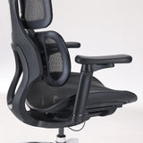 Soporte lumbar y reposabrazos de la Silla de oficina profesional S100-M301 en negro de Sihoo