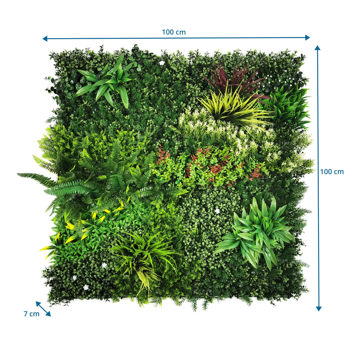 Dibujo dimensional de la Estera vegetal LEAFLUXE 3D de 100 × 100 × 7 cm de hjh LIVING