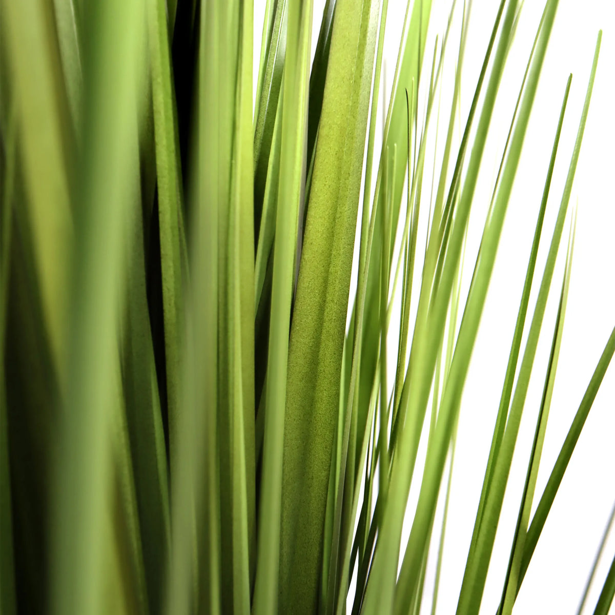 Hojas verdes de la planta artificial CORTADERIA de hjh OFFICE