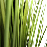 Hojas verdes de la planta artificial CORTADERIA de hjh OFFICE