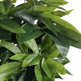 Hojas verdes de la Planta artificial PACHIRA de hjh OFFICE