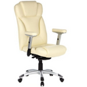 EMBASSY 200 - Sillón de oficina profesional 