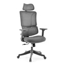 Ergomy Colore | Stoff / 3D Netz | Rahmen: Bunt - Home Office Bürostuhl - buerostuhl24