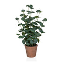 Planta artificial Eucalyptus de color verde con hojas redondas en una maceta de barro marrón de hjh OFFICE