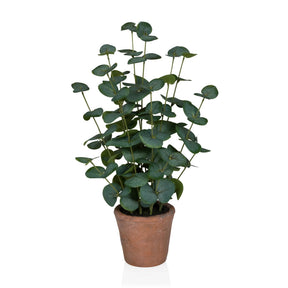 Planta artificial Eucalyptus de color verde con hojas redondas en una maceta de barro marrón de hjh OFFICE