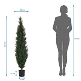 Dibujo dimensional de la Planta artificial CEDRUS con una altura de 152 cm de hjh OFFICE