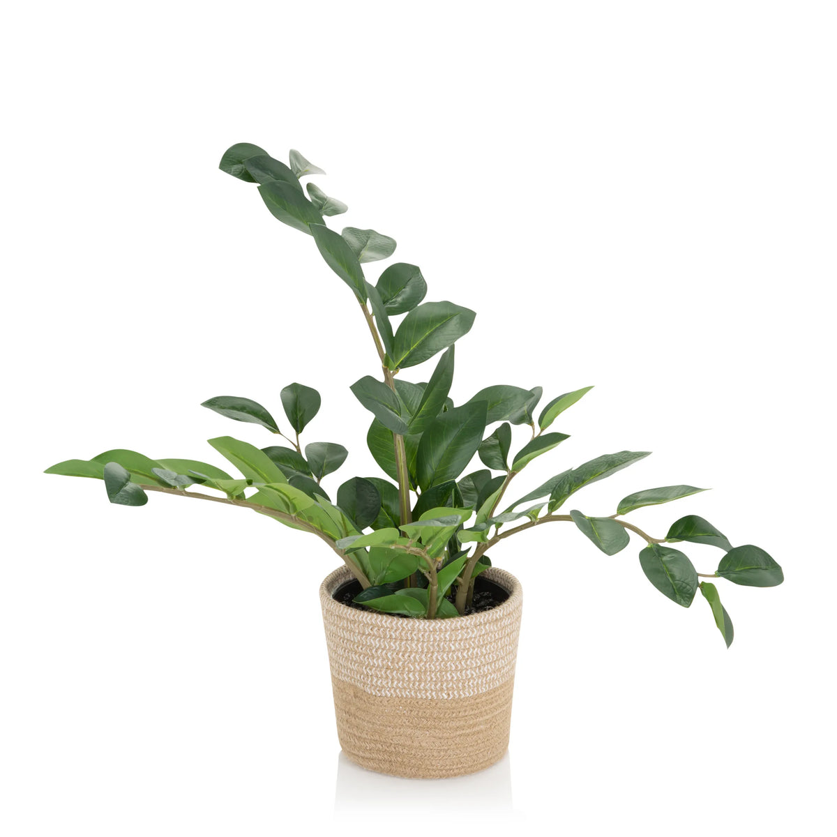Planta artificial verde ZAMIE en una maceta tejida de color marrón claro de hjh OFFICE – vista de 360° (vista lateral 90°)