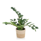 Planta artificial verde ZAMIE en una maceta tejida de color marrón claro de hjh OFFICE – vista de 360° (vista lateral 90°)