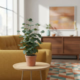 Planta artificial verde Eucalyptus en una maceta de color terracota sobre una mesa auxiliar de hjh OFFICE