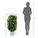 Plano dimensional de la Planta artificial Schefflera 2 con una altura de 110 cm y anchura de 48 cm de hjh OFFICE