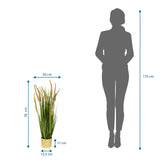 Vista dimensional de la Planta artificial CORTADERIA I con una altura total de 78 cm de hjh OFFICE