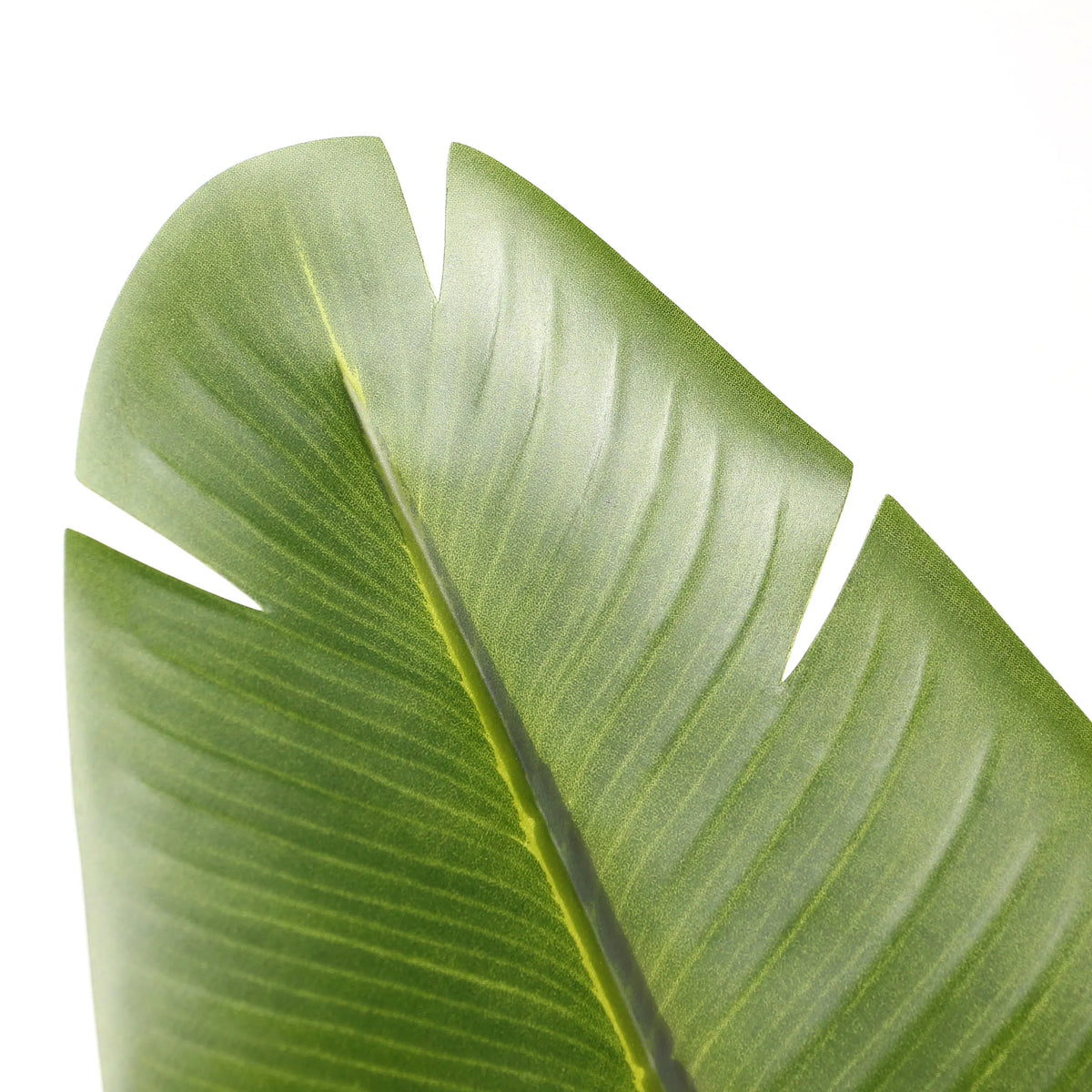 Hoja verde de la Planta artificial BANANE de hjh OFFICE