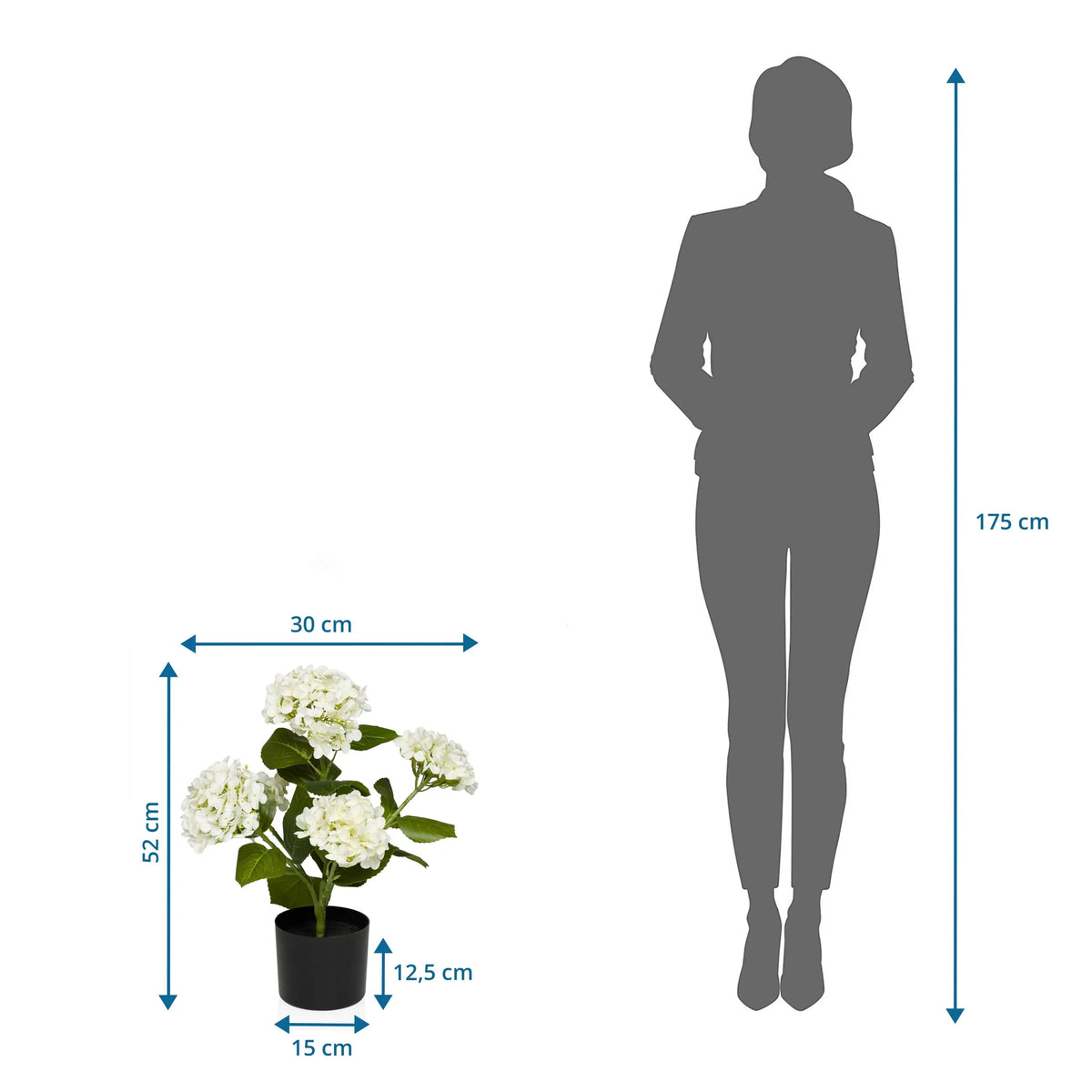 Dibujo dimensional de la Planta artificial HYDRANGEA con una altura de 52 cm y anchura de 30 cm de hjh OFFICE