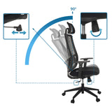 Respaldo ajustable con inclinación de 90 grados y mando giratorio de la Silla de oficina profesional TRAMORE de hjh OFFICE