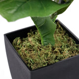 Maceta cuadrada negra con musgo verde de la Planta artificial LYRATA de hjh OFFICE