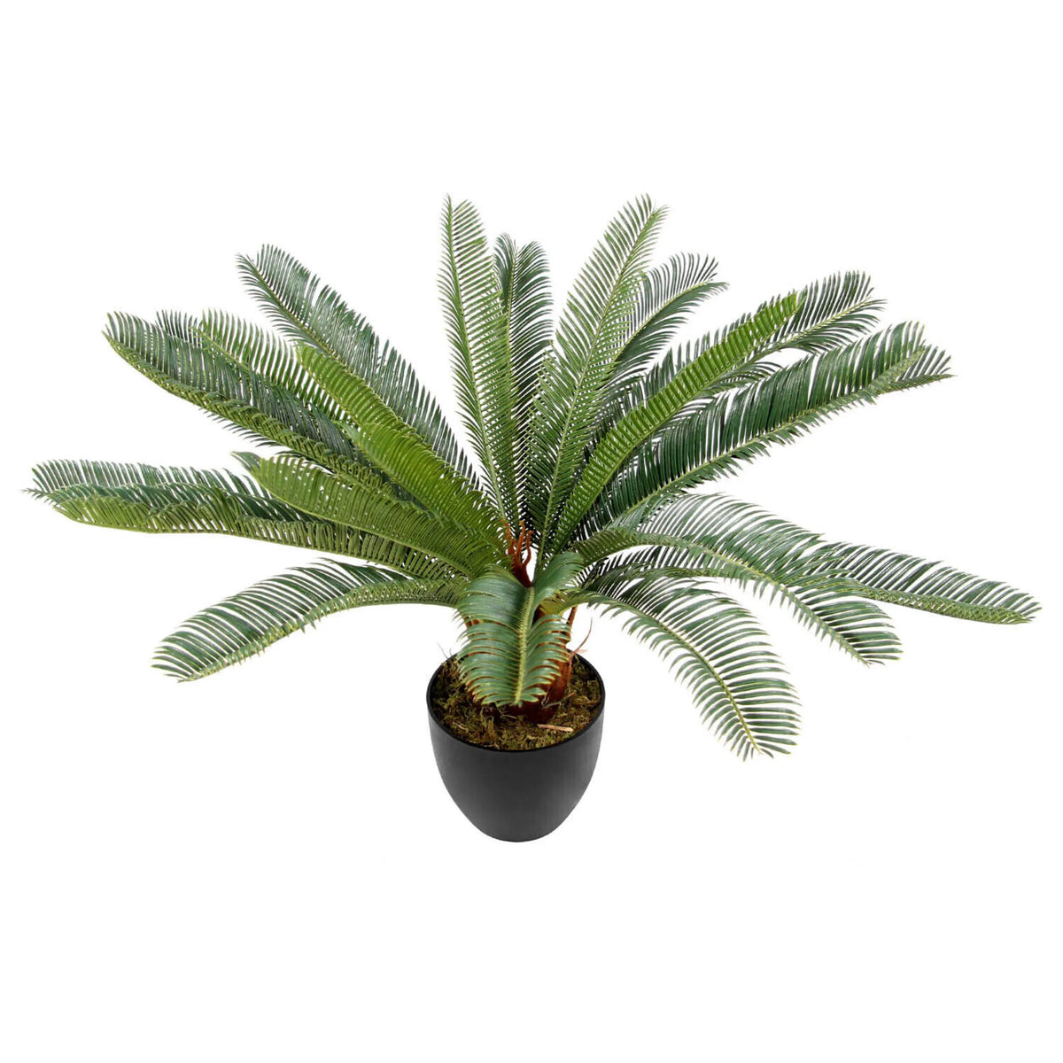 Planta artificial CYCAS en color verde con maceta negra de hjh OFFICE