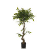Planta artificial verde FICUS I con tallo retorcido en una maceta negra de hjh OFFICE
