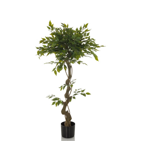 Planta artificial verde FICUS I con tallo retorcido en una maceta negra de hjh OFFICE